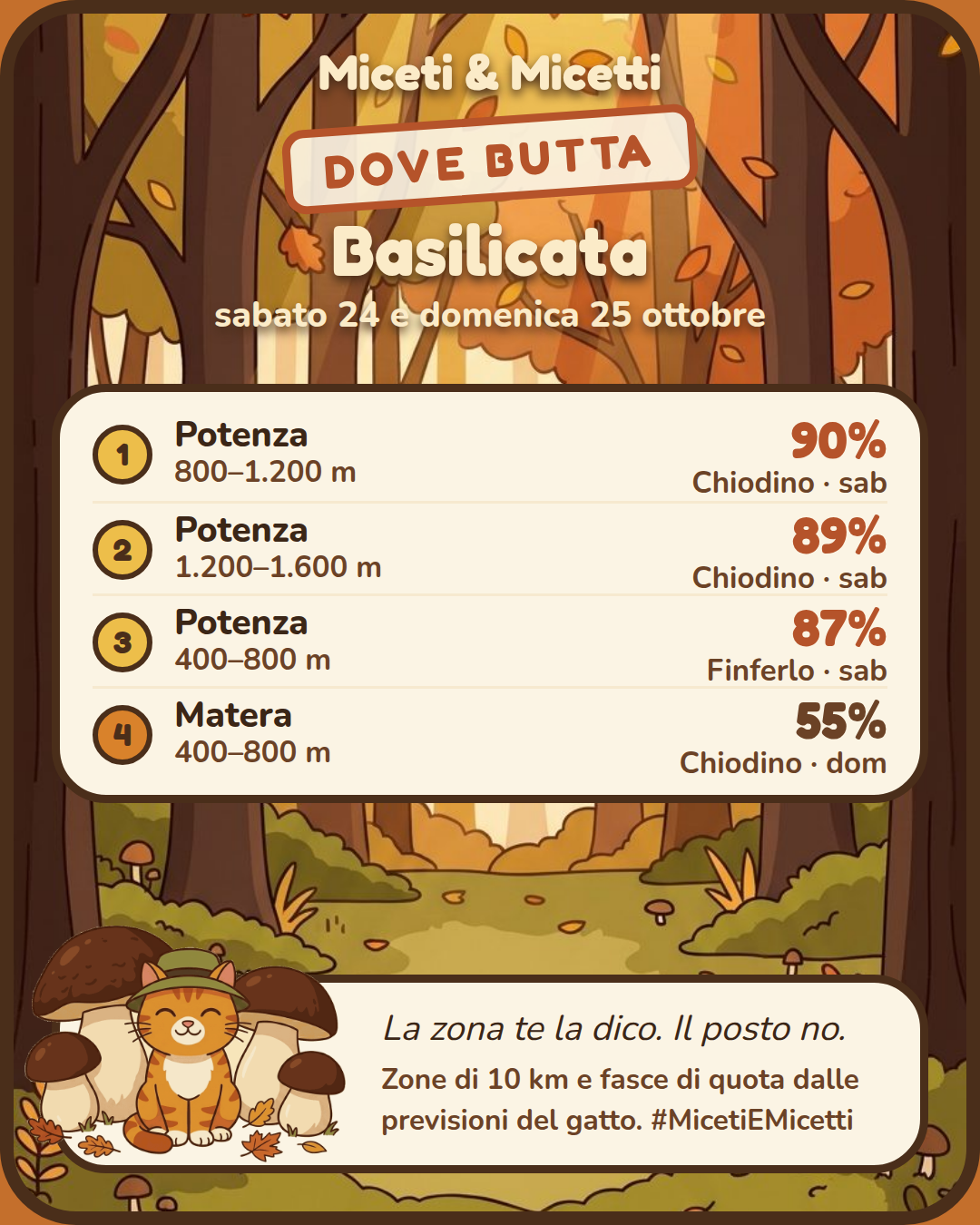 Dove butta sabato 24 e domenica 25 ottobre in Basilicata: in testa Potenza, 800–1.200 m, Chiodino 90% sabato. Il posto preciso? Sotto la zampa. 🐾 #MicetiEMicetti
