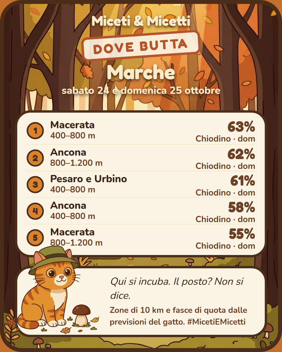 Dove butta sabato 24 e domenica 25 ottobre nelle Marche: in testa Macerata, 400–800 m, Chiodino 63% domenica. Il posto preciso? Sotto la zampa. 🐾 #MicetiEMicetti