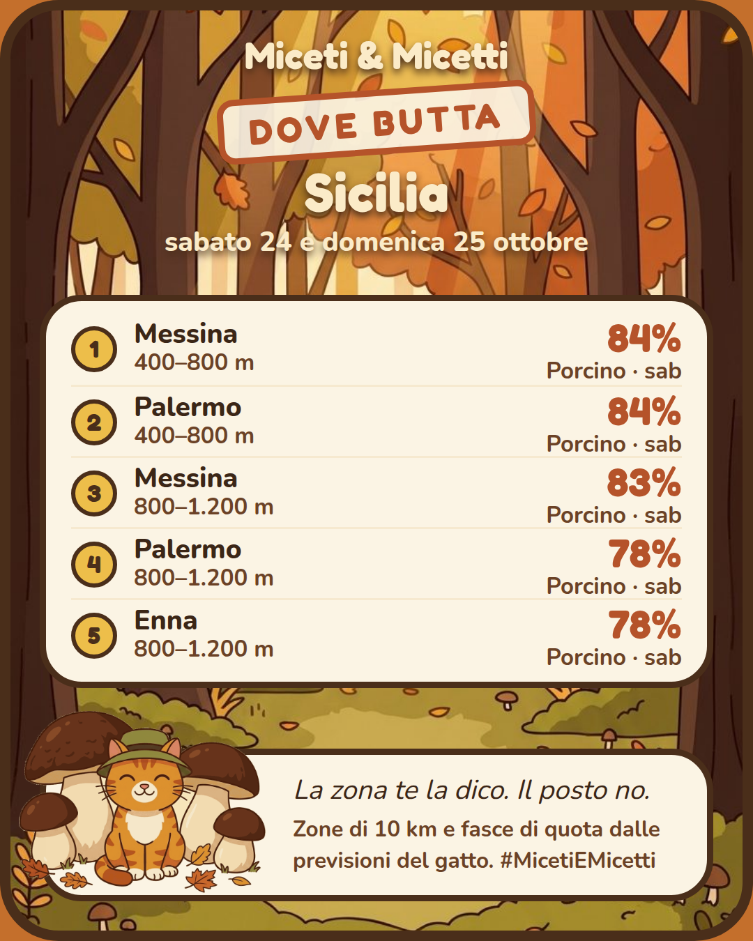 Dove butta sabato 24 e domenica 25 ottobre in Sicilia: in testa Messina, 400–800 m, Porcino 84% sabato. Il posto preciso? Sotto la zampa. 🐾 #MicetiEMicetti